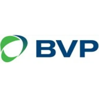 Business Venture Partners logo