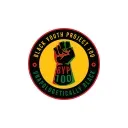 Black Youth Project 100 (BYP100) logo