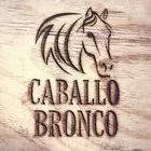 caballobronco.com logo