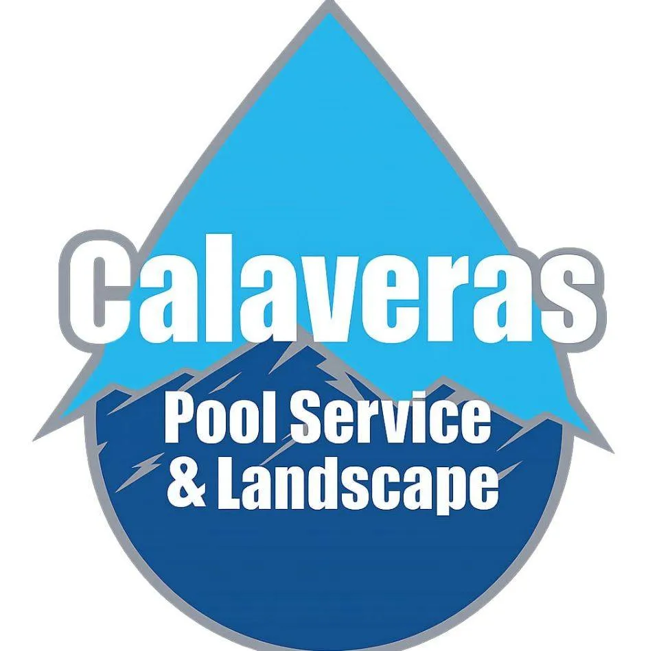 Calaveraspoolservice