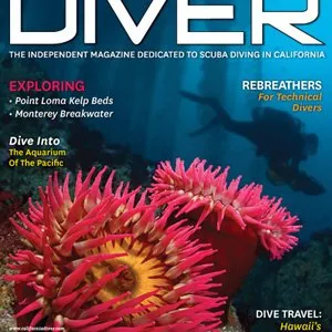Californiadiver