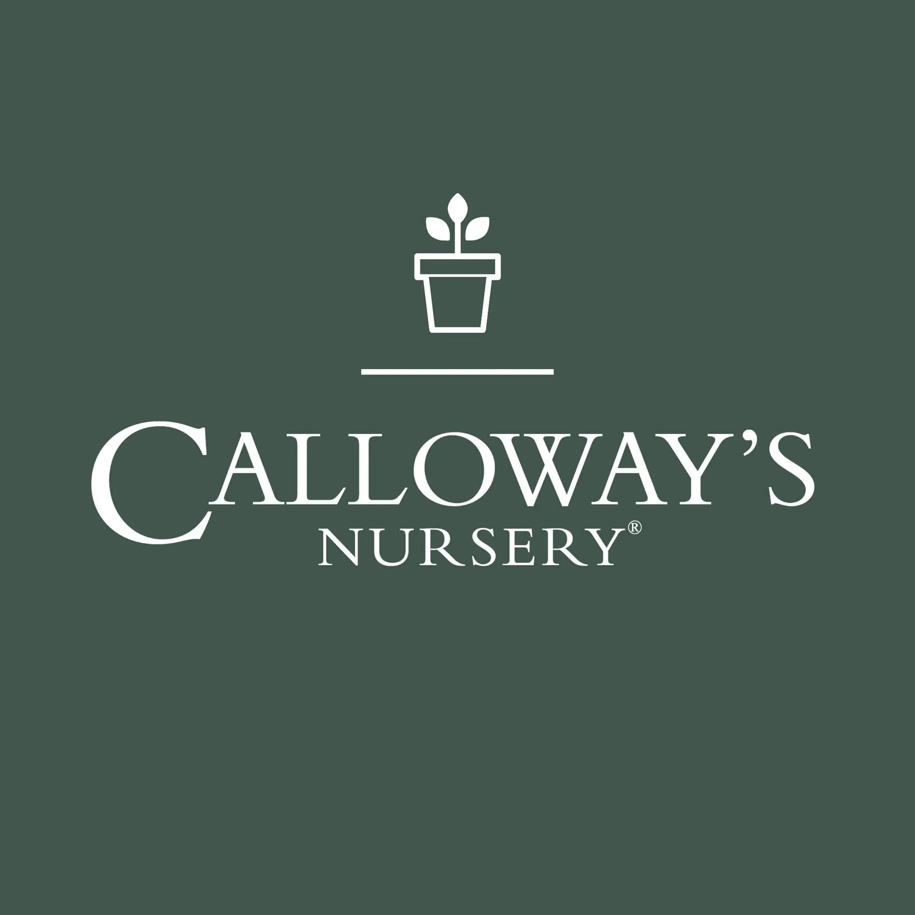 Calloways