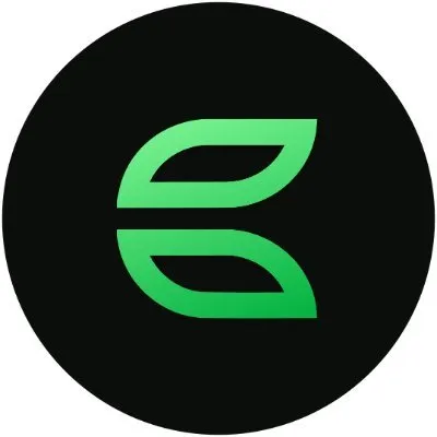 Calyptus logo