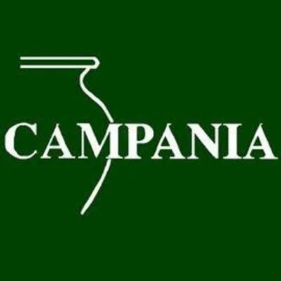 campaniainternational.com logo