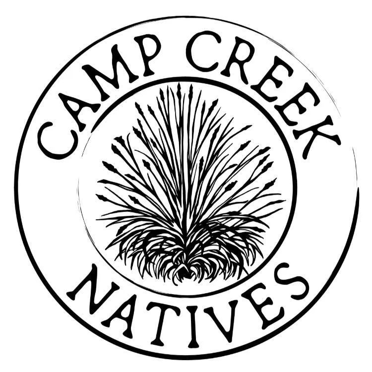 Campcreeknativeplants