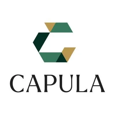 Capula Multi Strategy Fund Ltd logo