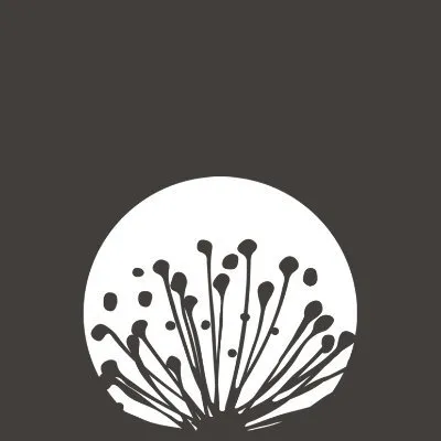 Caravel Minerals Ltd logo