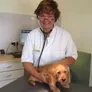 Logo Care 4 Animals