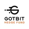 Gotbit logo