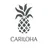 Cariloha logo