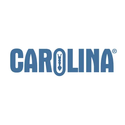 Carolina