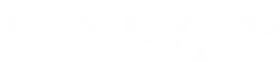 CarryPro logo