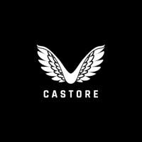 Castore logo