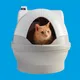 CatGenie