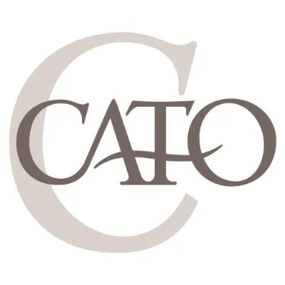 check-out-our-all-new-arrivals-at-cato