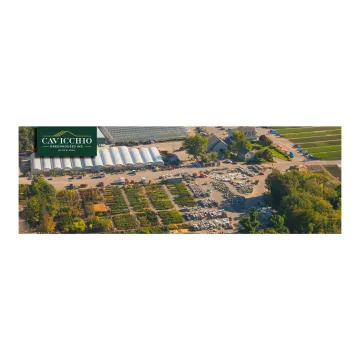 Cavicchio Greenhouses Logo