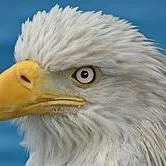 CB Joe TV & Appliance