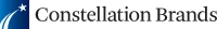 STZ Logo