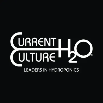 Cch2o