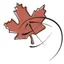 Canadian Council on International Law (CCIL) logo