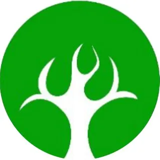 Cedrus Trustees Limited logo