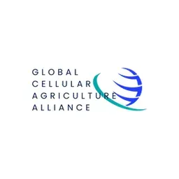 company_logo