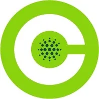 Celtic Chicago Inc logo