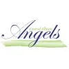 Central Illinois Angels LLC - Series 3458 logo