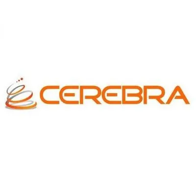 Cerebra Consulting Inc