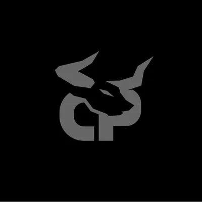 Cerus Performance logo