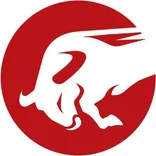 Chargebacks911 logo/icon