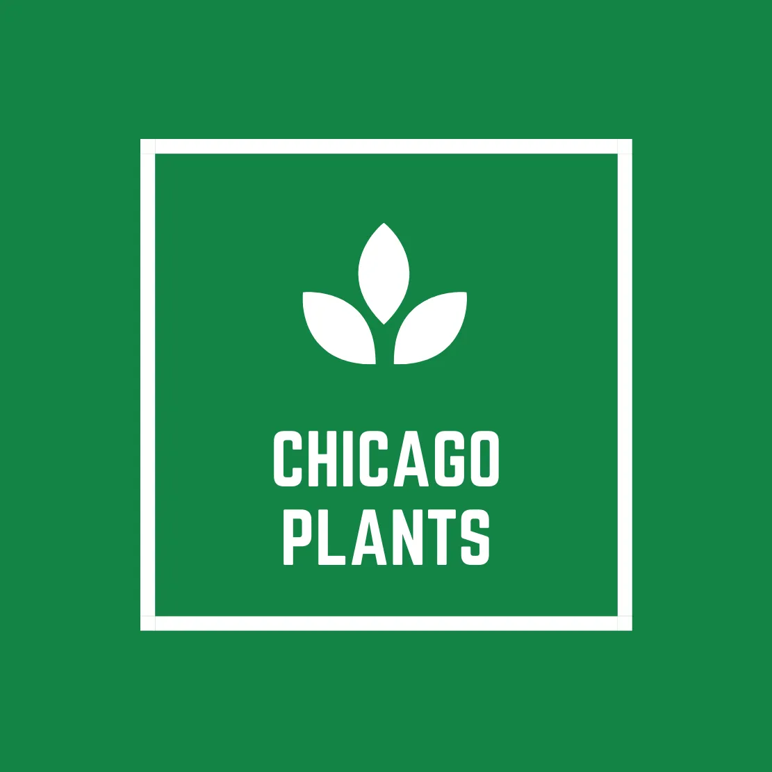 Chicago-plants