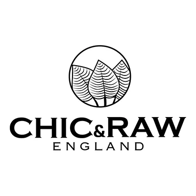 Chicandraw