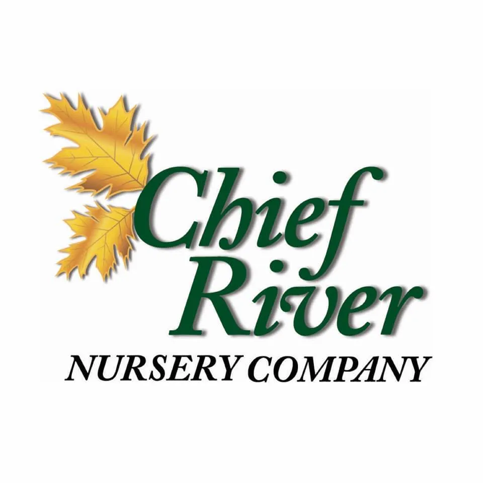Chiefrivernursery