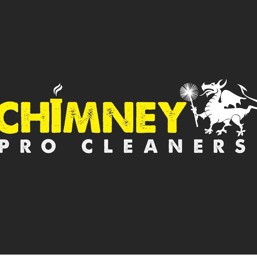 Chimneyprocleaners
