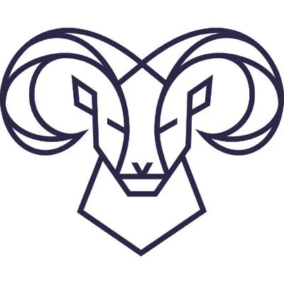 Chiofaro Company logo