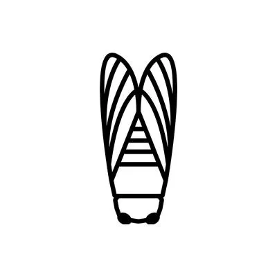 Cicada Sound logo