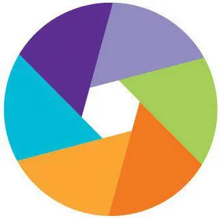 CIDJ Logo