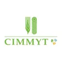 CIMMYT logo