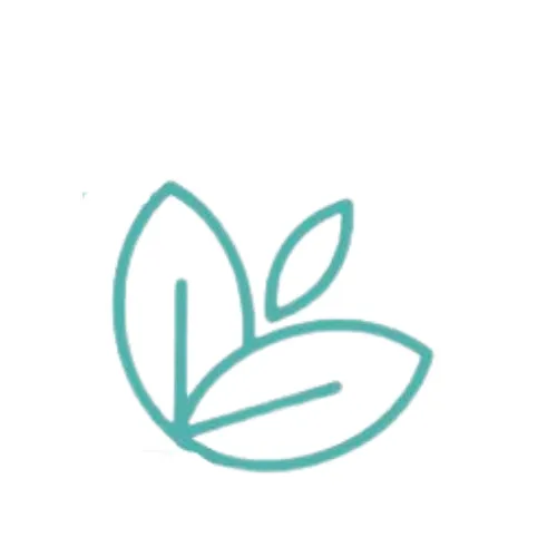 haircare-routine-routine-capelli