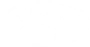 Clevr Plus light logo