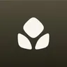 clove logo