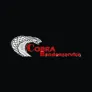Logo Cobra Bandenservice