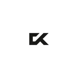 Coin Skid Logo