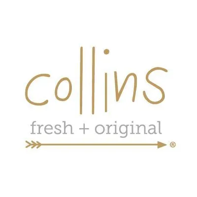 collinspainting.com logo