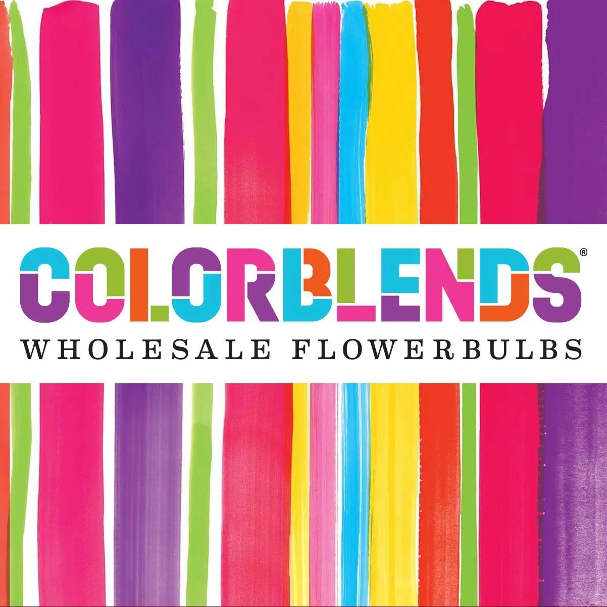 ColorBlends logo