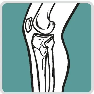 Columbia Orthopedic Group Logo