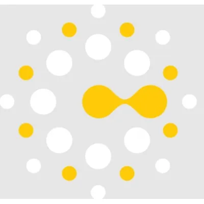 Connected Minerals Ltd logo