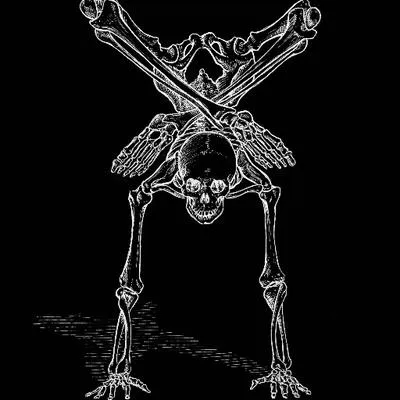 CONTORTURE