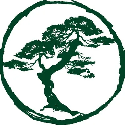 Cornell Capital logo